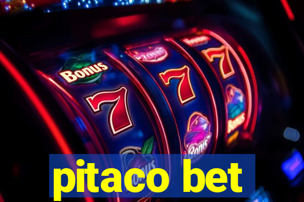 pitaco bet